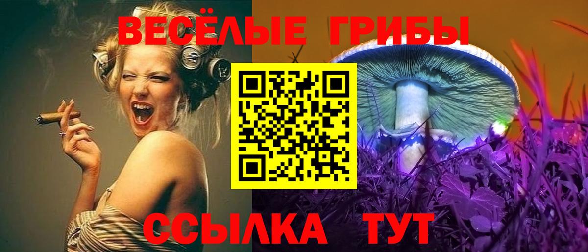 Барабинск  Галлюциногенные грибы Psilocybe  Вход с VPN 