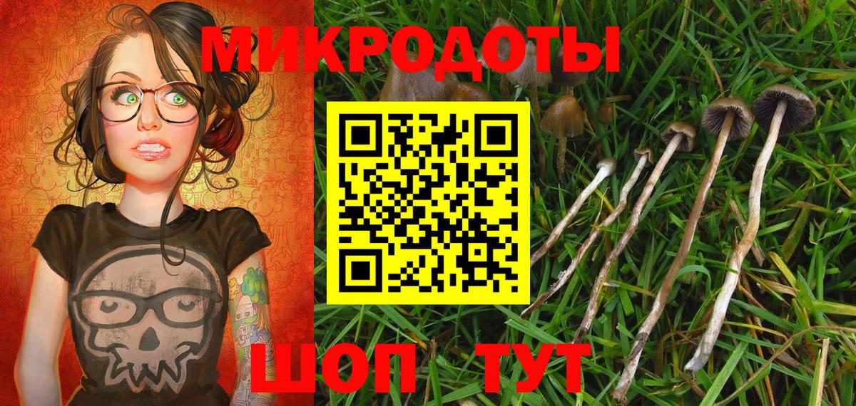 Галлюциногенные грибы мицелий Барабинск